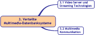 Überblick Verteilte Multimedia-Datenbanksysteme