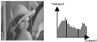 Grauwert-Histogramm eines Bildes