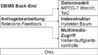 MARS Database